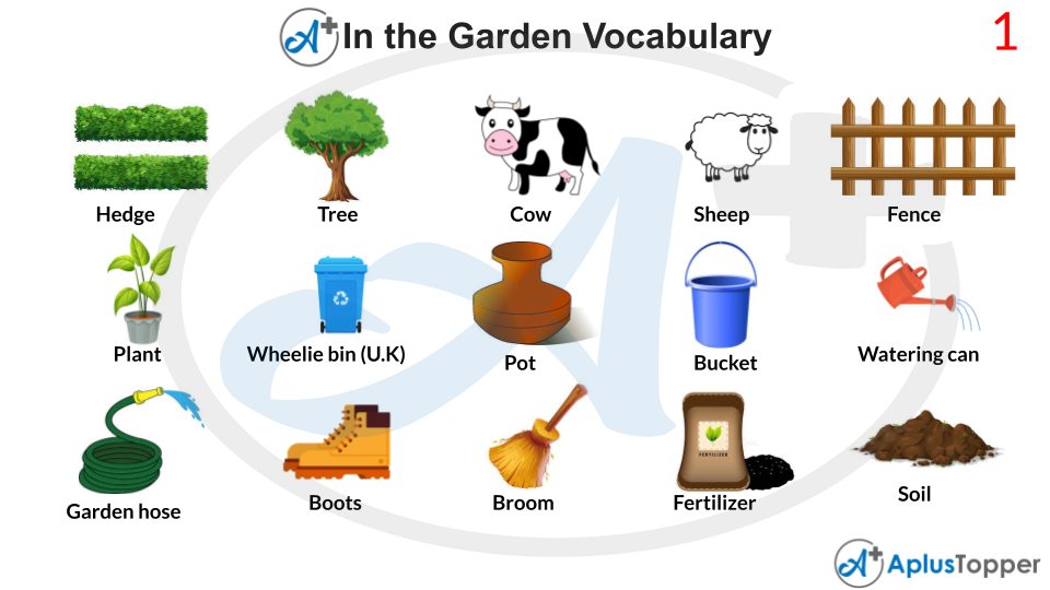 In The Garden Vocabulary
