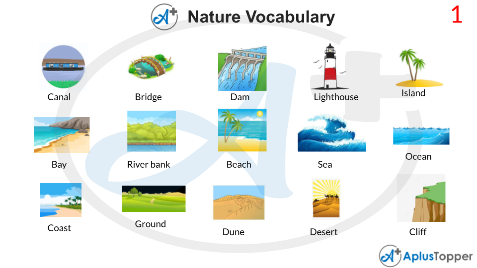 Nature Vocabulary