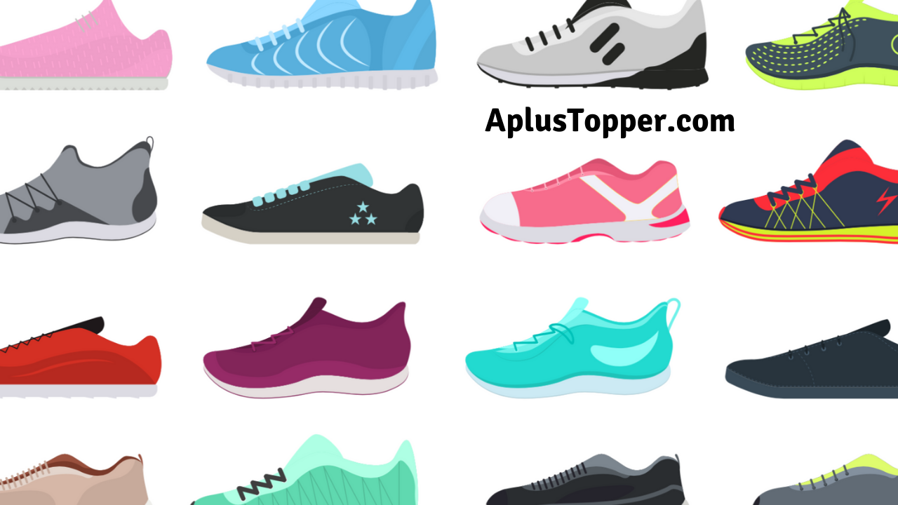 Types of Shoes | Different Types of Men's and Women's Shoe Names - A Plus  Topper
