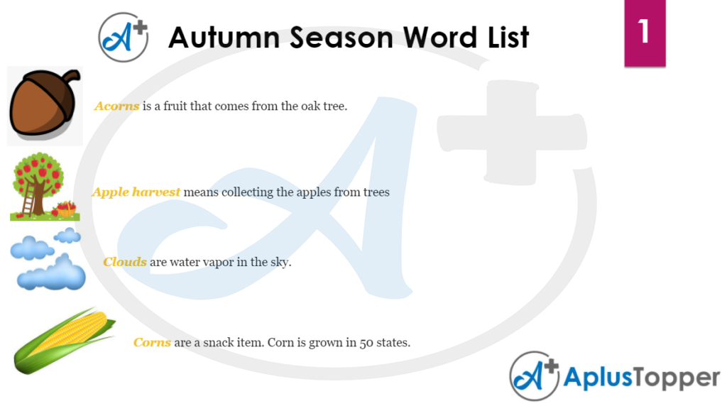 Autumn Season Namelist 1