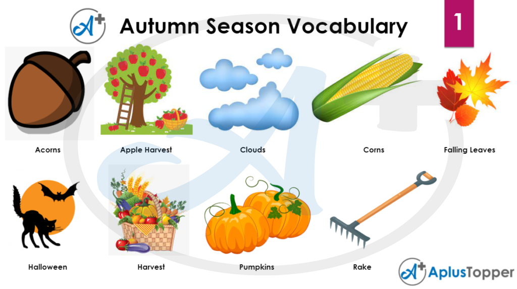 Autumn Season Vocabulary 1