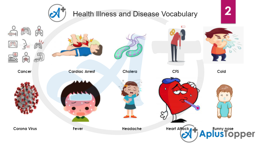 Health Illness and Disease Vocabulary 2