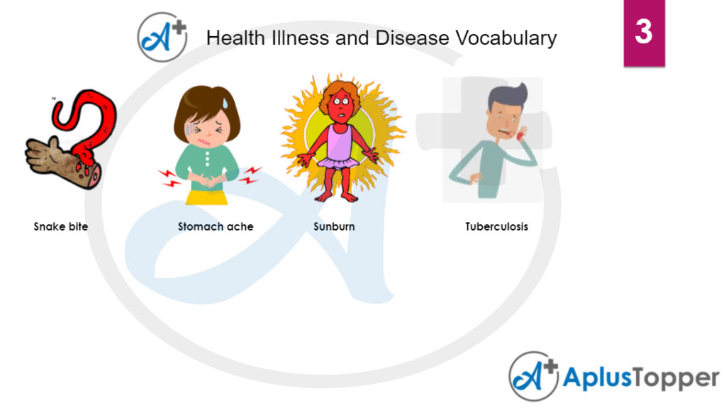 Health Illness and Disease Vocabulary 3