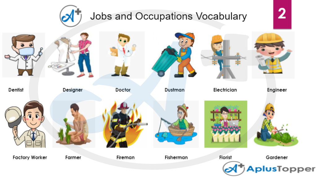 Jobs and Occupation Vocabulary 2