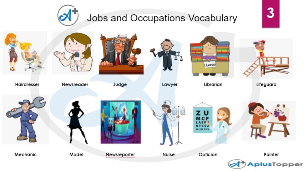 Jobs and Occupation Vocabulary 3