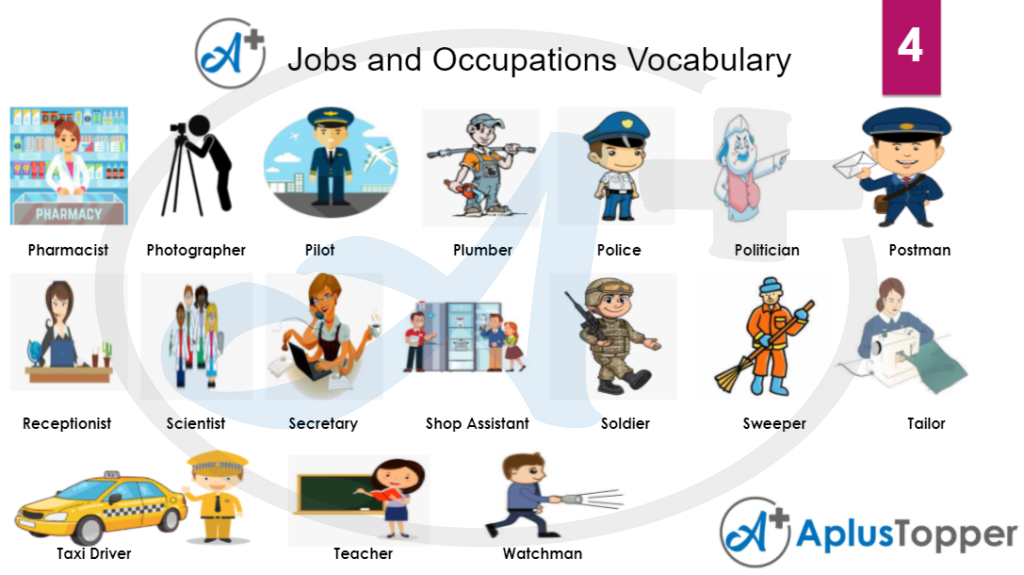 Jobs and Occupation Vocabulary 4