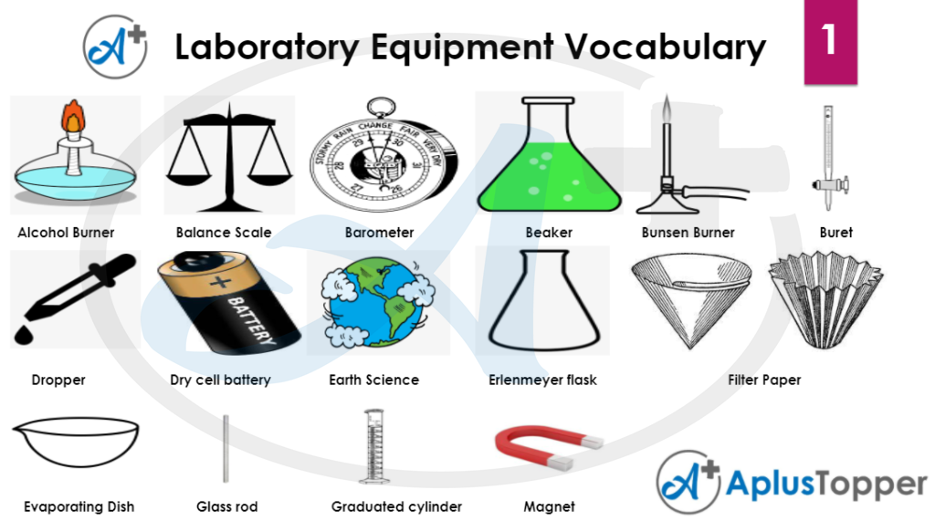 Laboratory Equipment Vocabulary