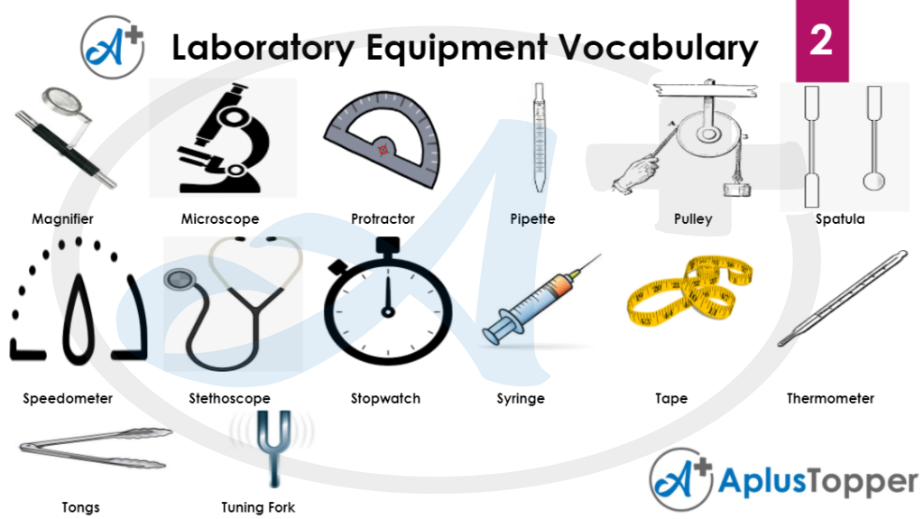 Laboratory Equipment Vocabulary English