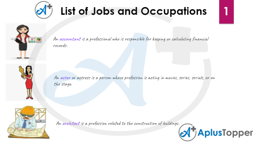 List of Jobs and Occupation Vocabulary 1