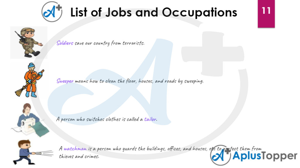 List of Jobs and Occupation Vocabulary 11