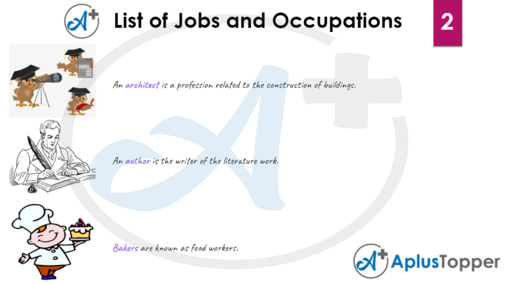 List of Jobs and Occupation Vocabulary 2
