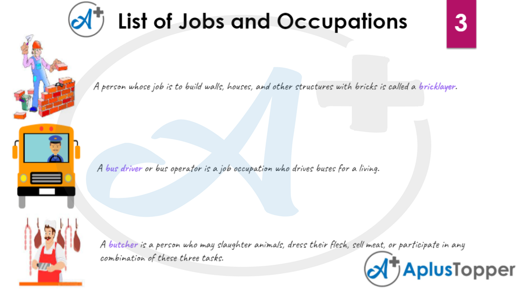 List of Jobs and Occupation Vocabulary 3