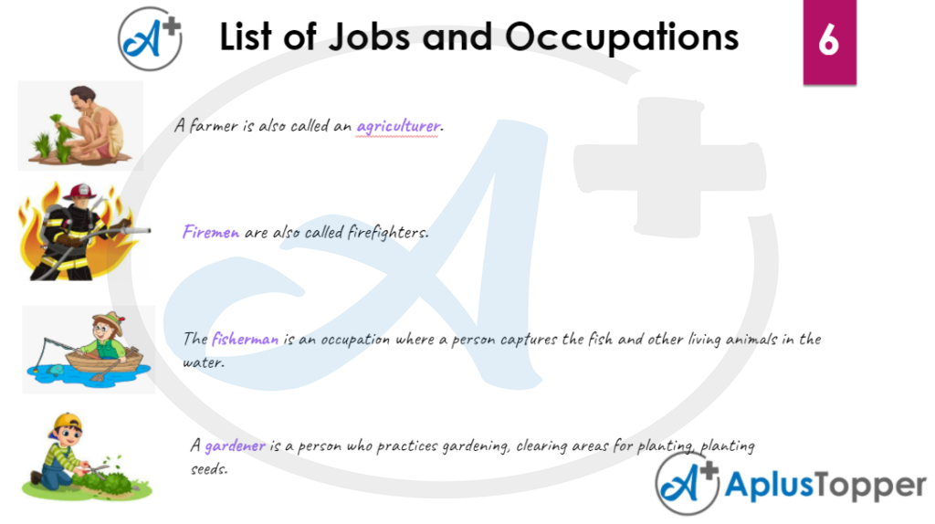 List of Jobs and Occupation Vocabulary 6