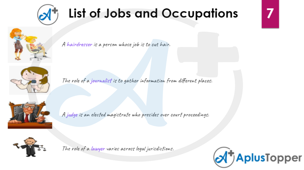 List of Jobs and Occupation Vocabulary 7