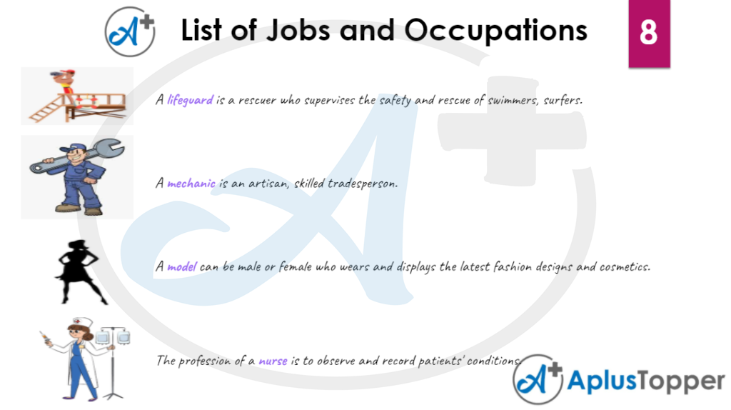 List of Jobs and Occupation Vocabulary 8