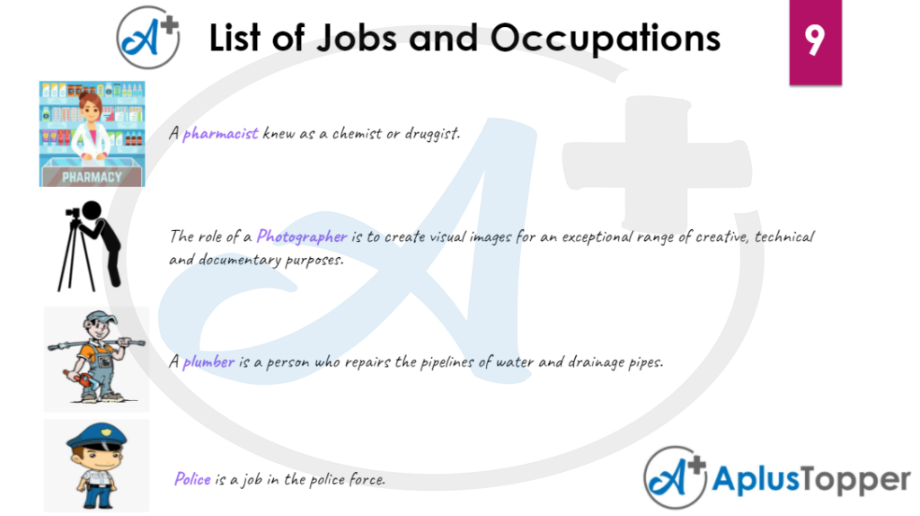 List of Jobs and Occupation Vocabulary 9