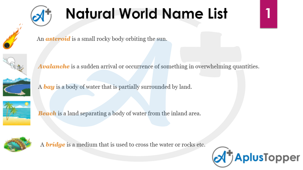 Natural World Name List 1