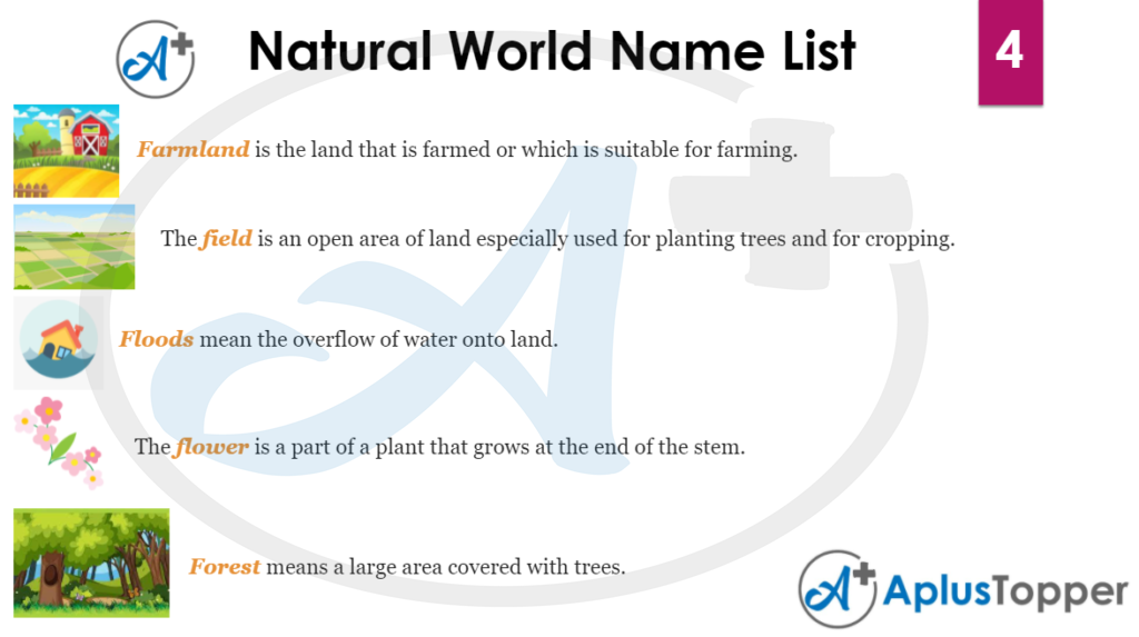 Natural World Name List 4