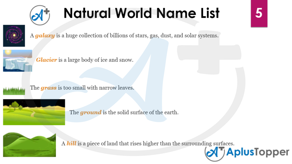 Natural World Name List 5
