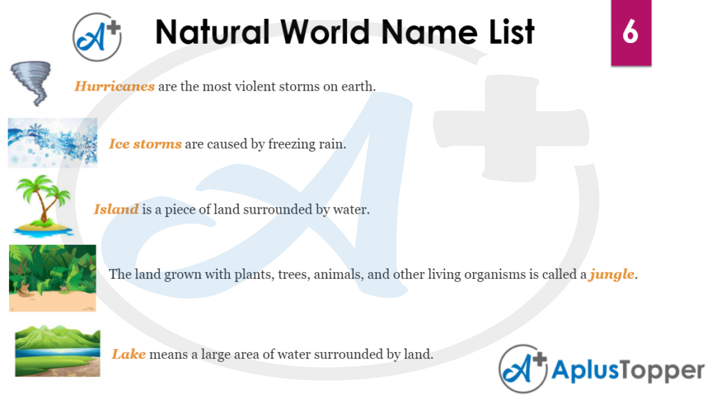 Natural World Name List 6