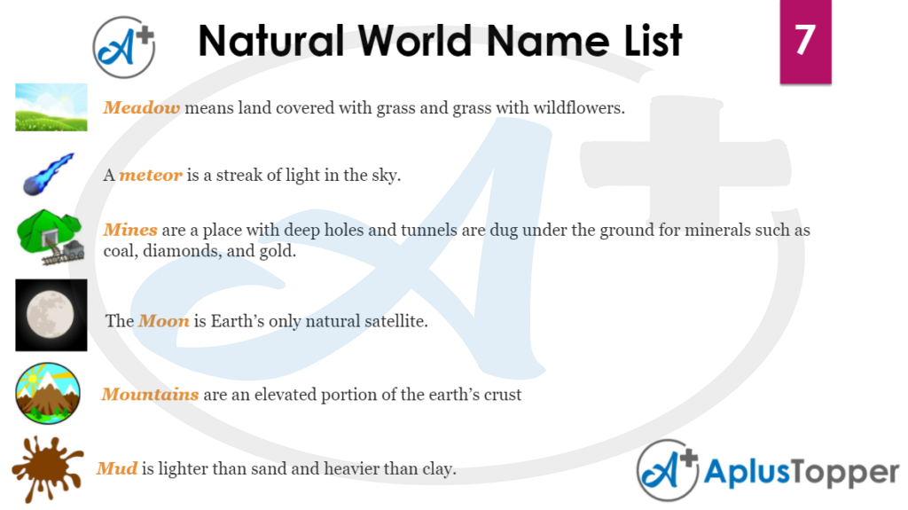Natural World Name List 7