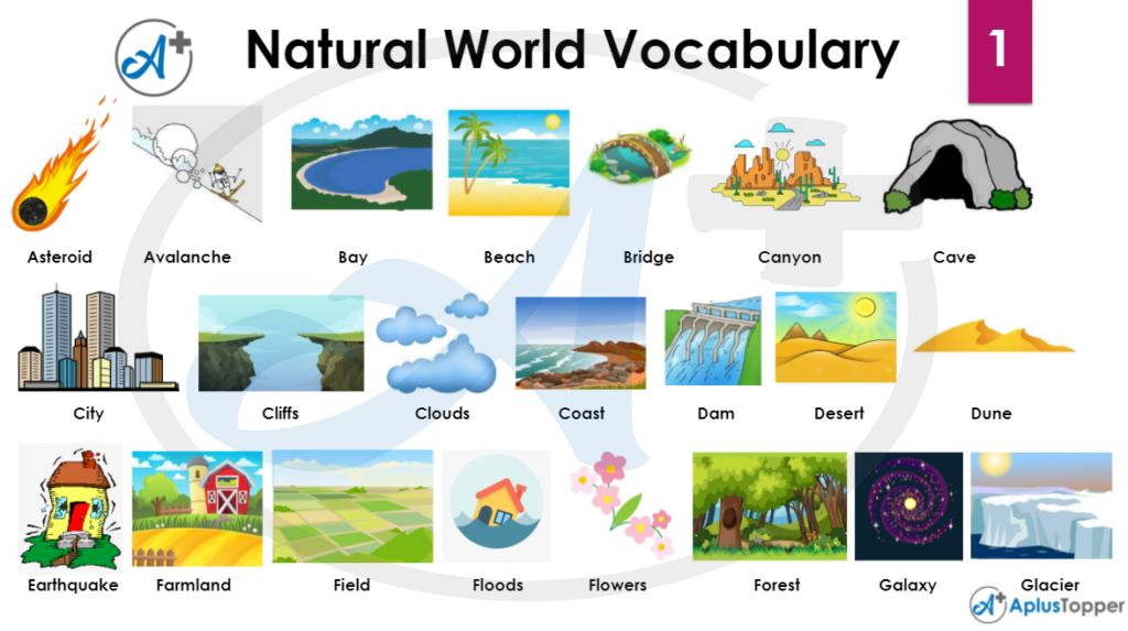 Natural World Vocabulary 1