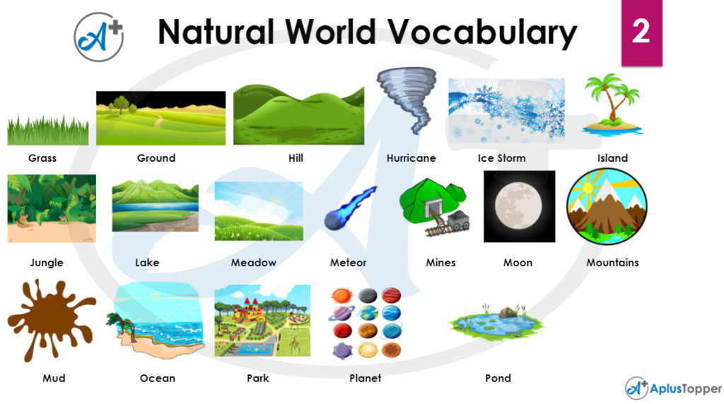 Natural World Vocabulary 2
