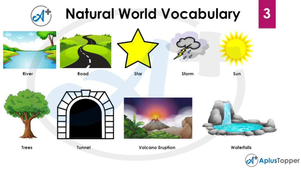 Natural World Vocabulary 3