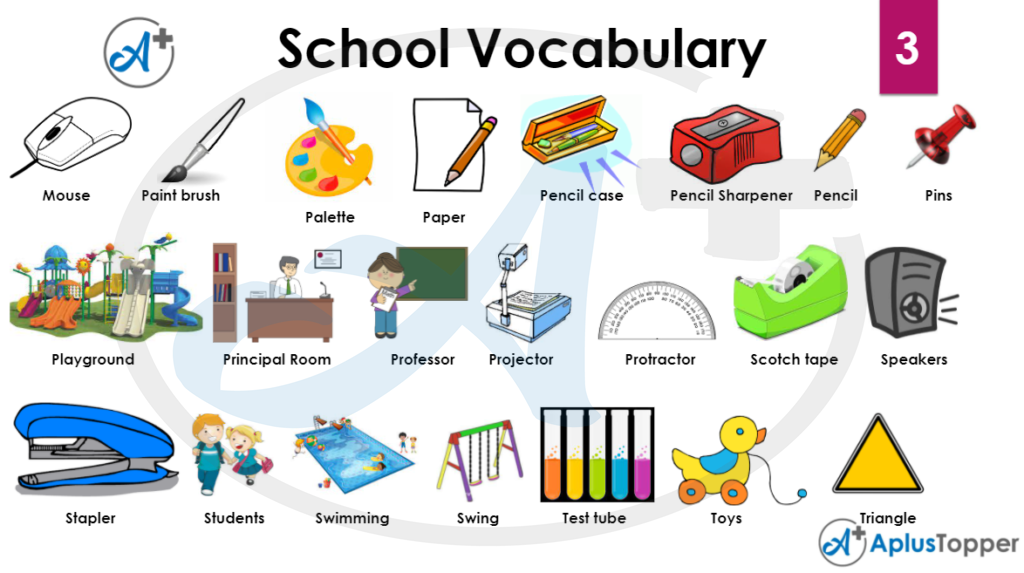 School Vocabulary 3