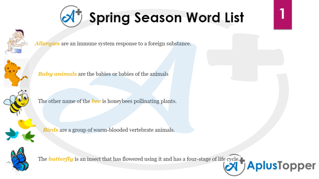 Spring Season Word List 1