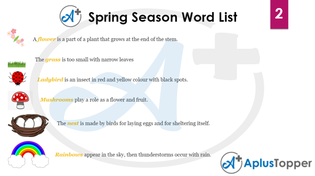 Spring Season Word List 2