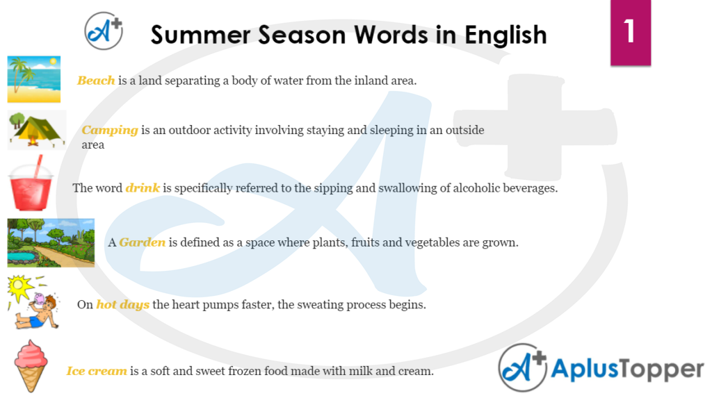 Summer-Season-Vocabulary 1