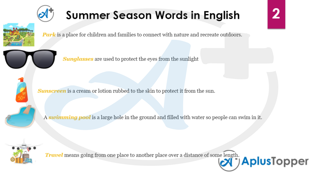 Summer-Season-Vocabulary 2
