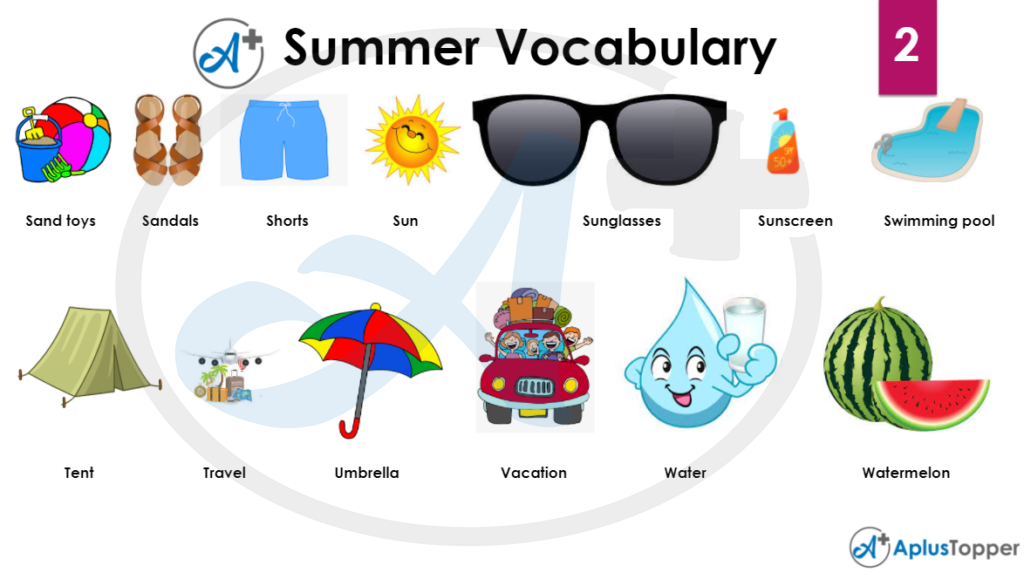 Summer Vocabulary 2