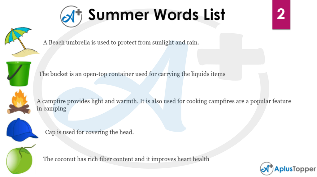 Summer Word List 2