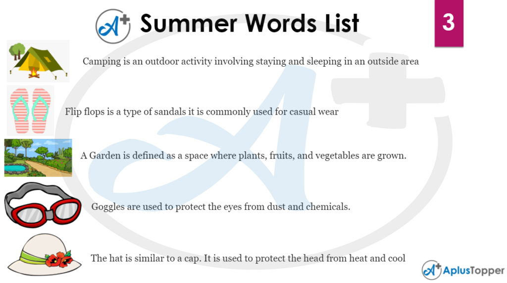 Summer Word List 3