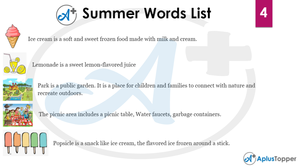 Summer Word List 4