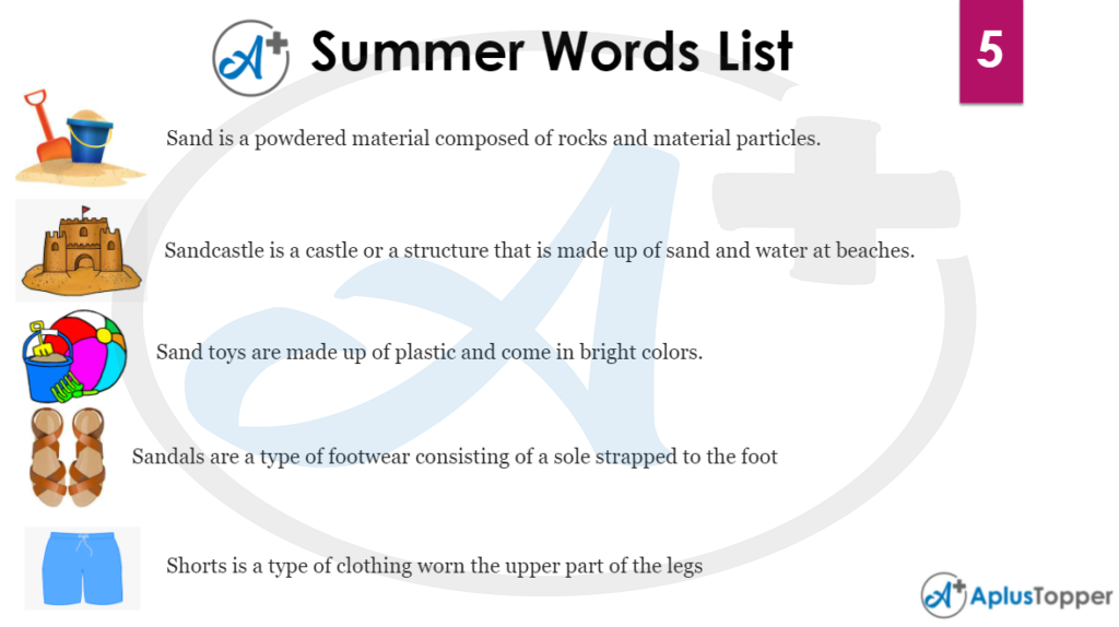 Summer Word List 5