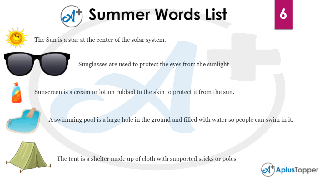 Summer Word List 6