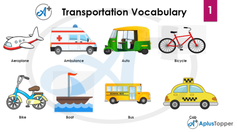 Transportation Vocabulary | Types of Transport Vehicles with Pictures ...