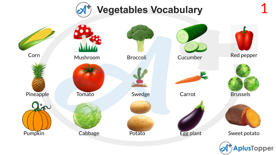 Vegetables Vocabulary With Images