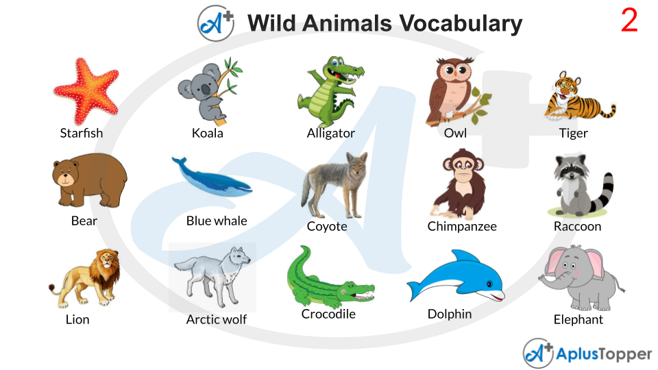 Wild Animals Vocabulary English | List of Wild Animals Vocabulary With  Description and Pictures - A Plus Topper