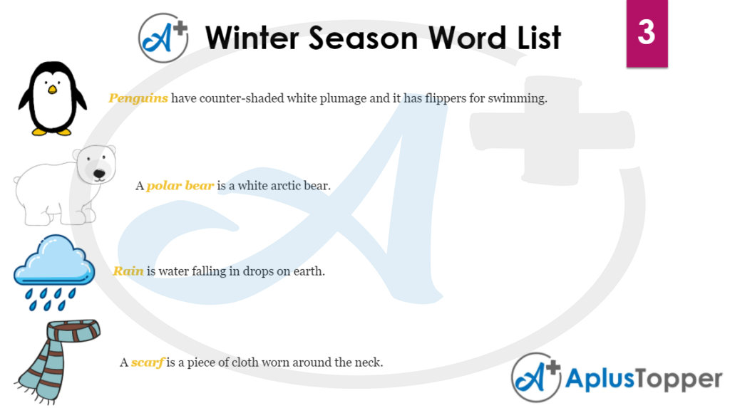 Winter Season Word List 3