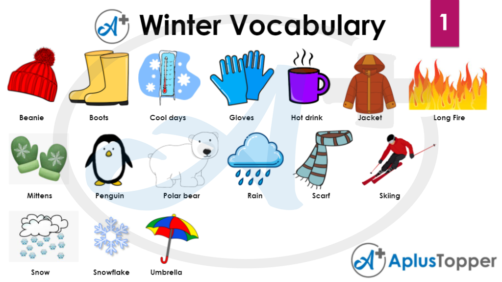 Winter Vocabulary