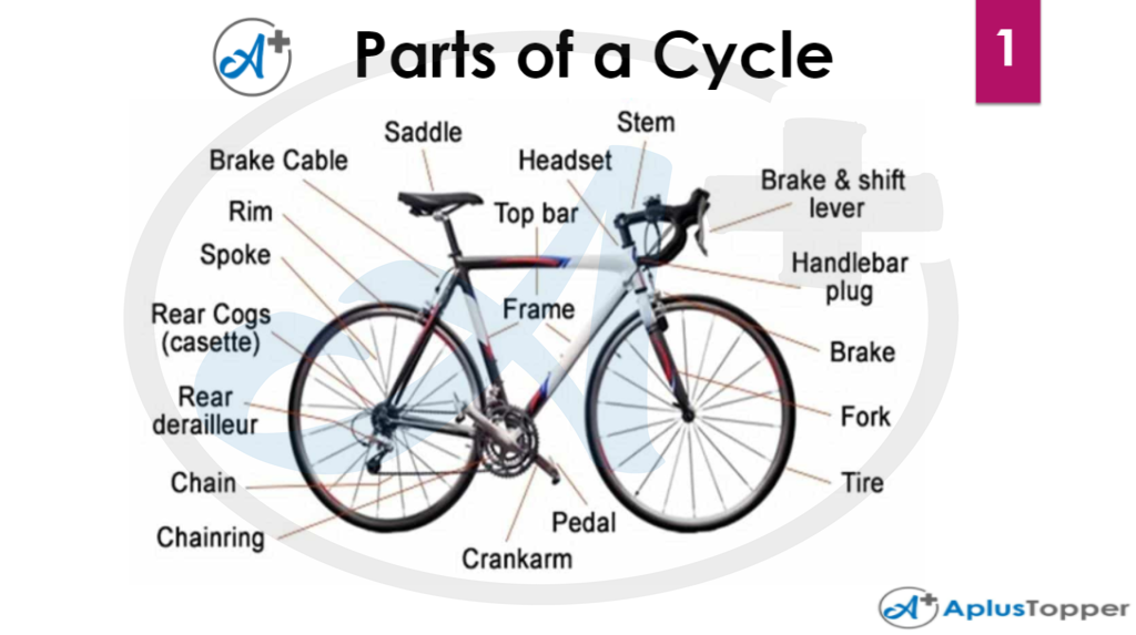 parts of a cycle