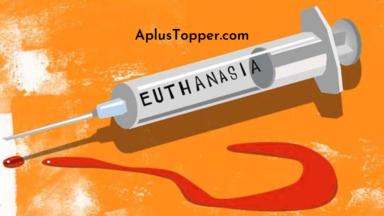 Euthanasia Pros And Cons