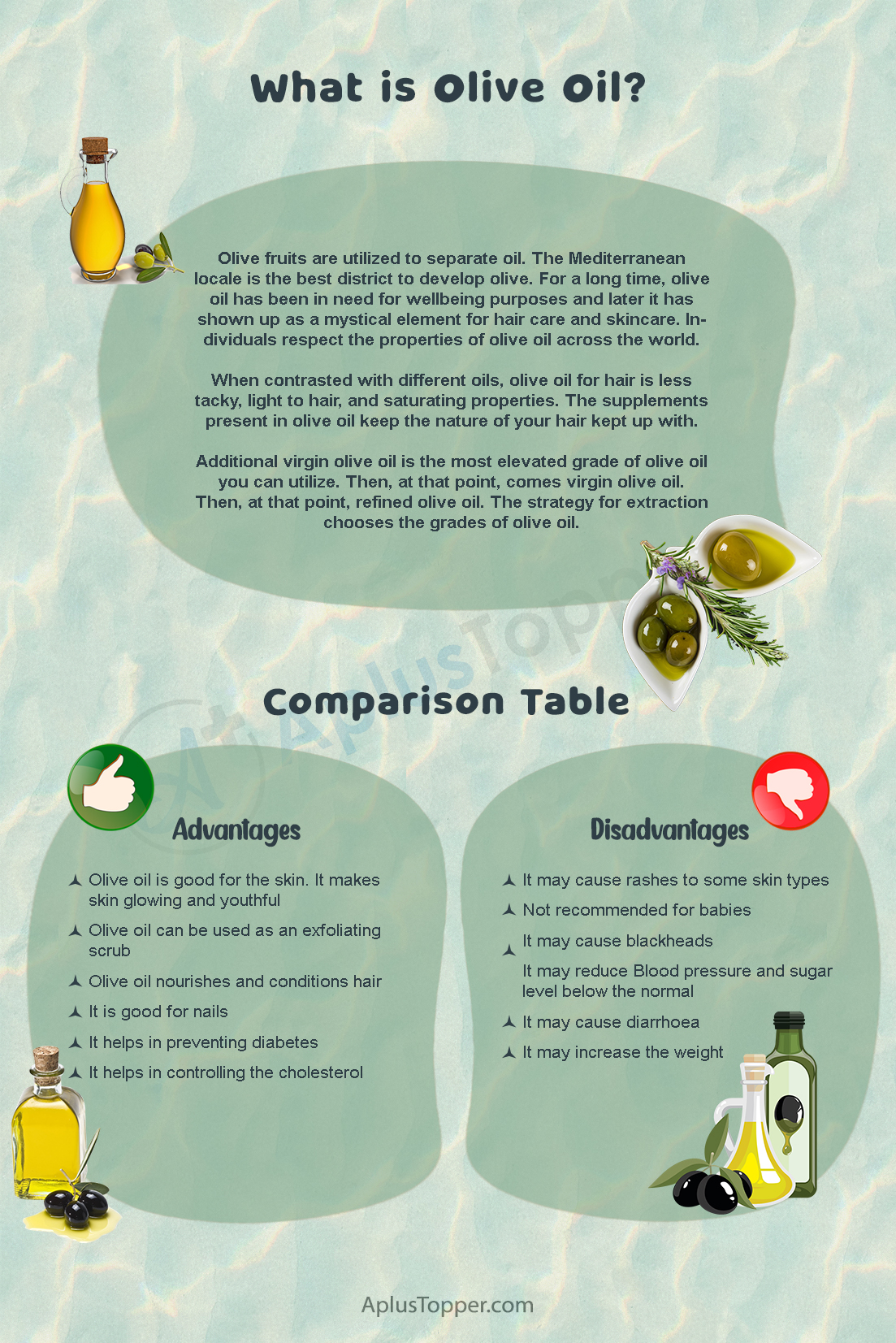 Advantages and Disadvantages of Olive Oil 1