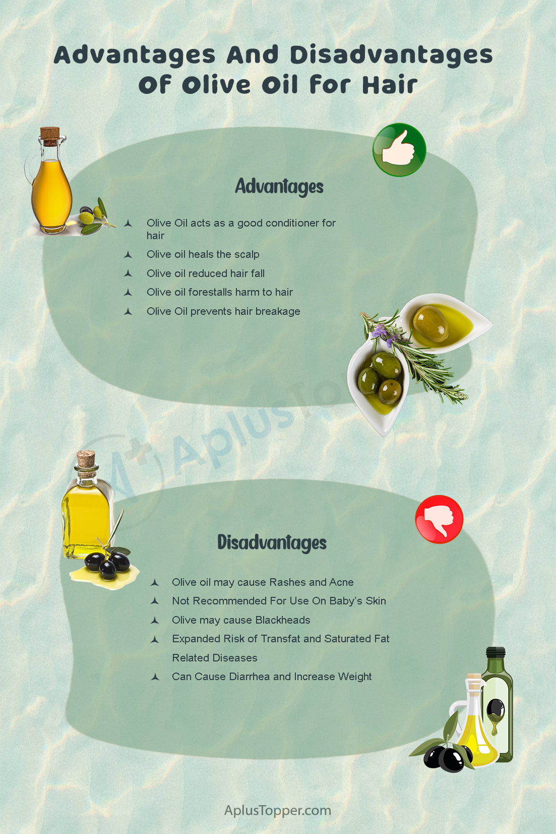 Advantages and Disadvantages of Olive Oil 2