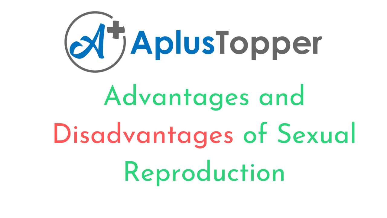 Advantages And Disadvantages Of Sexual Reproduction What Is Sexual