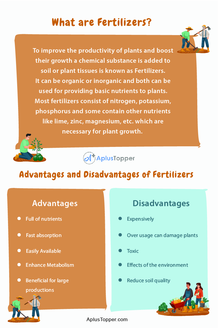 essay on importance of organic fertilizers in agriculture